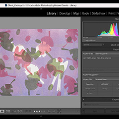 Adobe Lightroom image